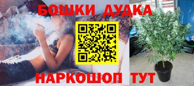 сатива Тверь